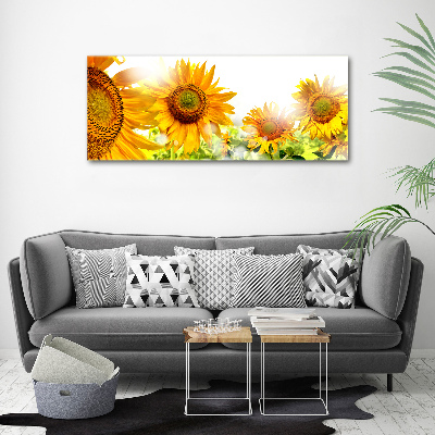 Cuadro canvas moderno de gran formato horizontal Girasoles