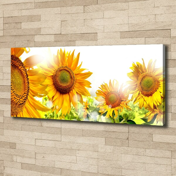 Cuadro canvas moderno de gran formato horizontal Girasoles