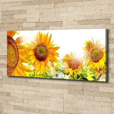 Cuadro canvas moderno de gran formato horizontal Girasoles