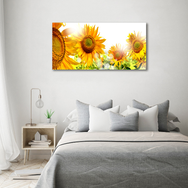 Cuadro canvas moderno de gran formato horizontal Girasoles