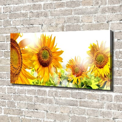 Cuadro canvas moderno de gran formato horizontal Girasoles