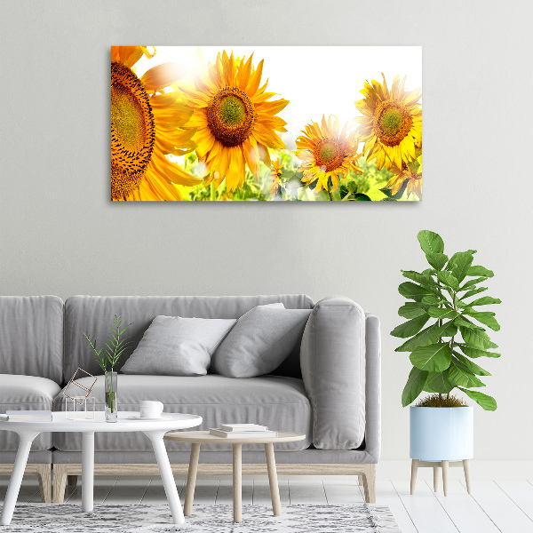 Cuadro canvas moderno de gran formato horizontal Girasoles
