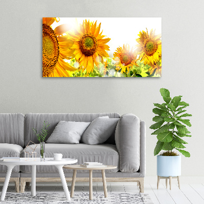 Cuadro canvas moderno de gran formato horizontal Girasoles