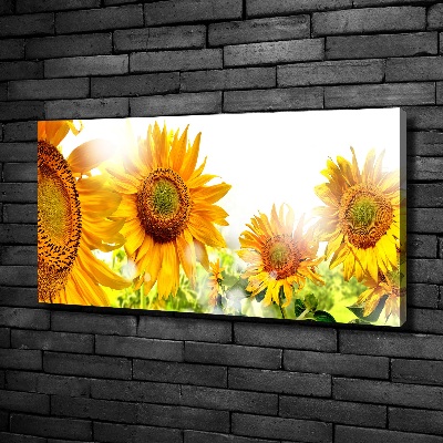 Cuadro canvas moderno de gran formato horizontal Girasoles