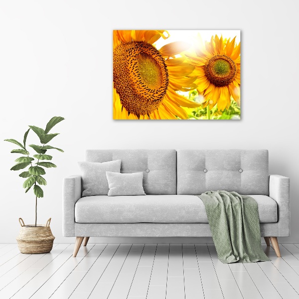 Cuadro canvas moderno de gran formato horizontal Girasoles