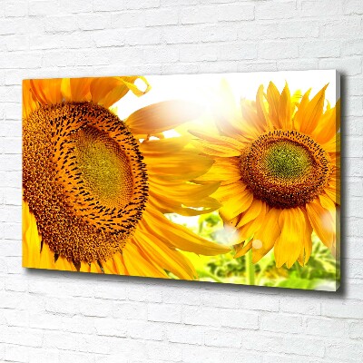 Cuadro canvas moderno de gran formato horizontal Girasoles