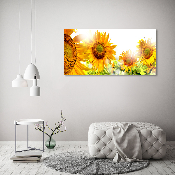 Cuadro canvas moderno de gran formato horizontal Girasoles