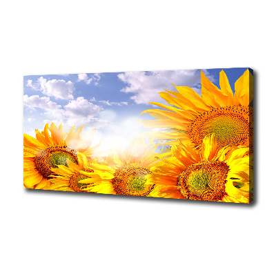 Fotocuadro en lienzo de alta calidad horizontal Girasoles