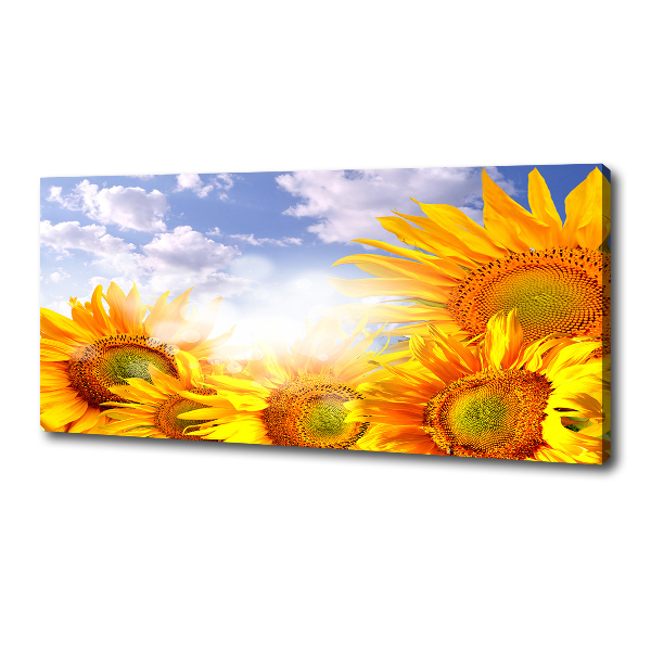 Fotocuadro en lienzo de alta calidad horizontal Girasoles