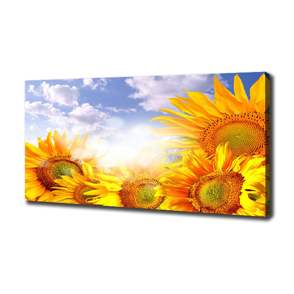 Fotocuadro en lienzo de alta calidad horizontal Girasoles