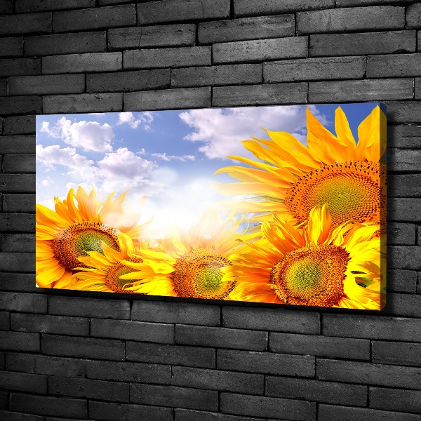 Fotocuadro en lienzo de alta calidad horizontal Girasoles