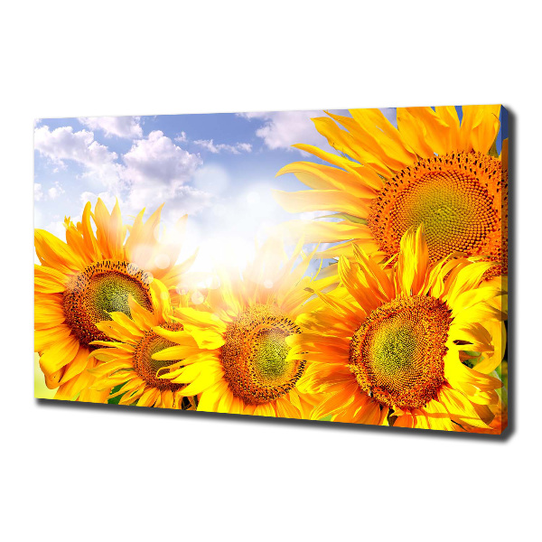 Fotocuadro en lienzo de alta calidad horizontal Girasoles