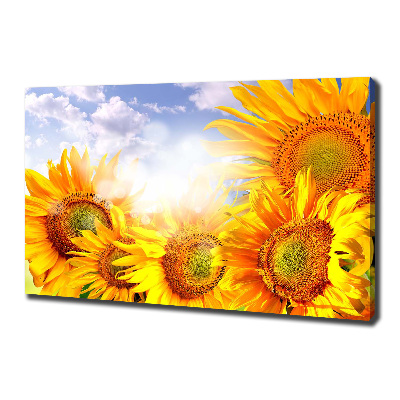 Fotocuadro en lienzo de alta calidad horizontal Girasoles