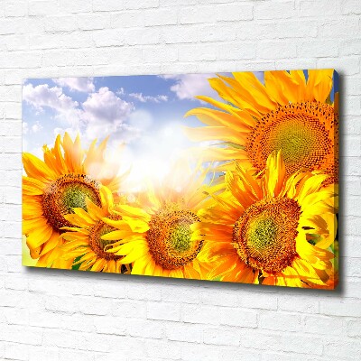 Fotocuadro en lienzo de alta calidad horizontal Girasoles