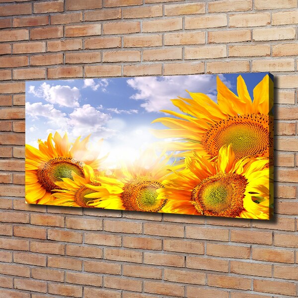 Fotocuadro en lienzo de alta calidad horizontal Girasoles