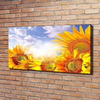 Fotocuadro en lienzo de alta calidad horizontal Girasoles