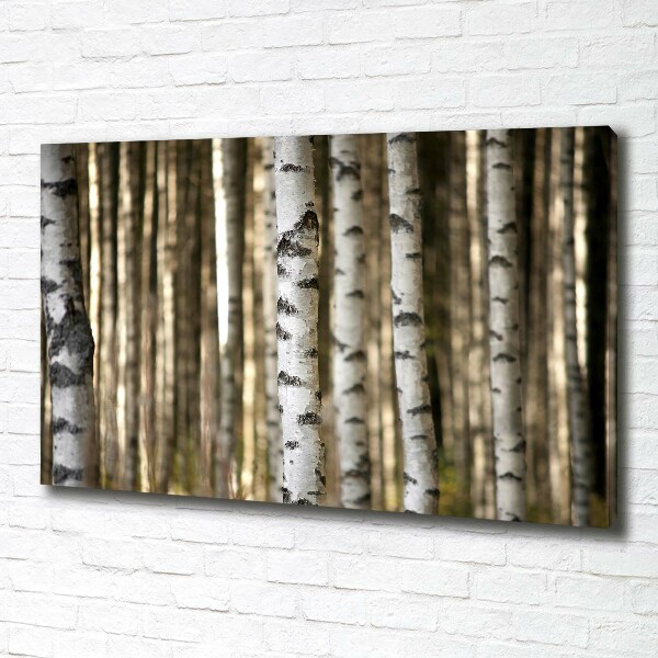 Cuadro canvas con impresión uv duradera horizontal Abedules