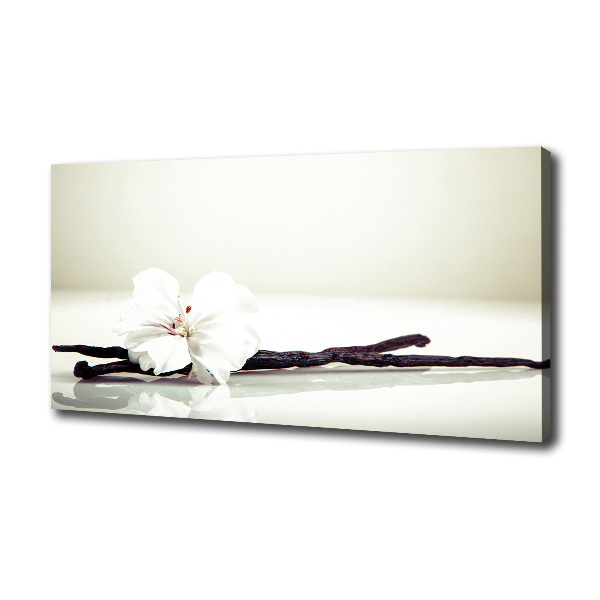 Cuadro canvas moderno de gran formato horizontal Vaina de vainilla