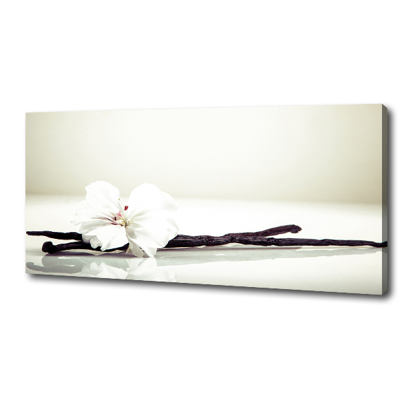 Cuadro canvas moderno de gran formato horizontal Vaina de vainilla