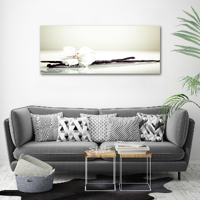 Cuadro canvas moderno de gran formato horizontal Vaina de vainilla