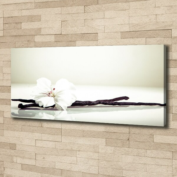 Foto obraz na płótnie Laska wanilii