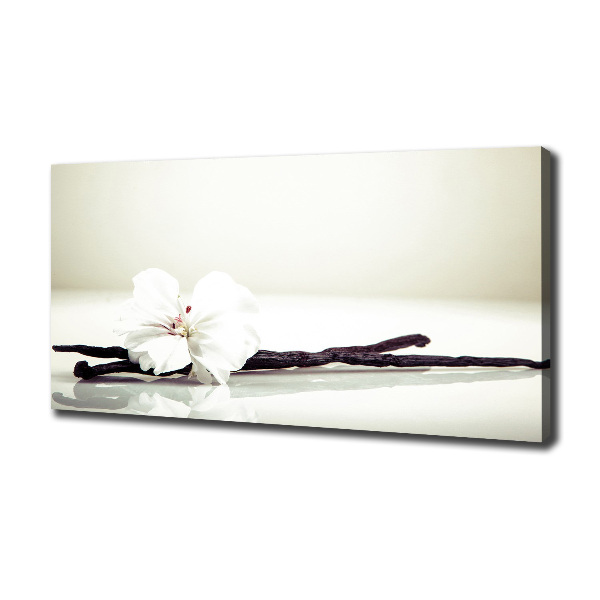 Cuadro canvas moderno de gran formato horizontal Vaina de vainilla