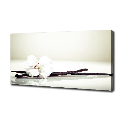 Cuadro canvas moderno de gran formato horizontal Vaina de vainilla