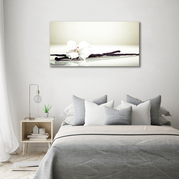 Cuadro canvas moderno de gran formato horizontal Vaina de vainilla