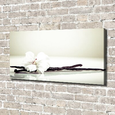 Foto obraz na płótnie Laska wanilii