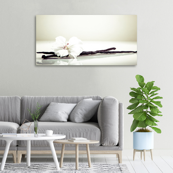 Cuadro canvas moderno de gran formato horizontal Vaina de vainilla