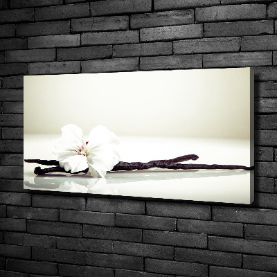 Foto obraz na płótnie Laska wanilii