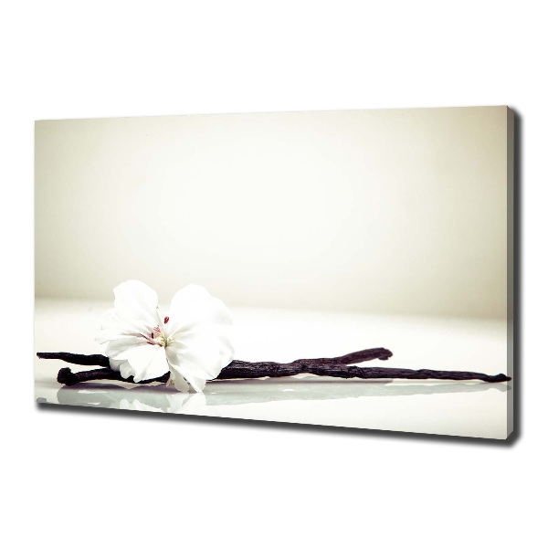 Cuadro canvas moderno de gran formato horizontal Vaina de vainilla