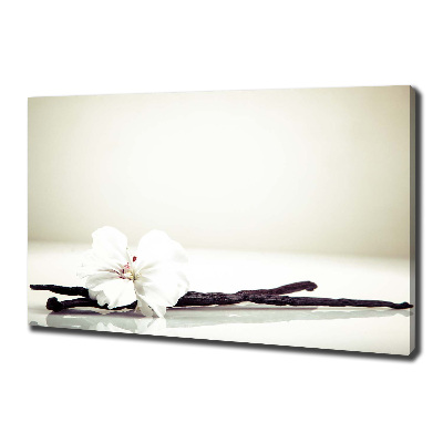 Foto obraz na płótnie Laska wanilii