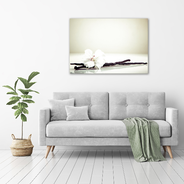 Cuadro canvas moderno de gran formato horizontal Vaina de vainilla