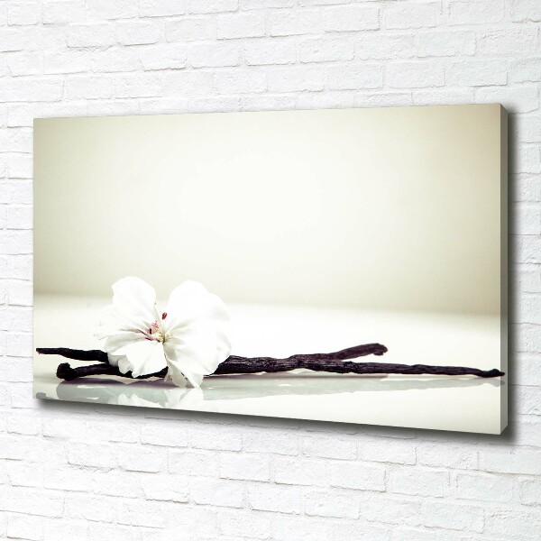 Foto obraz na płótnie Laska wanilii