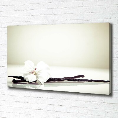 Cuadro canvas moderno de gran formato horizontal Vaina de vainilla