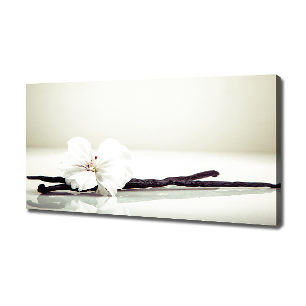 Cuadro canvas moderno de gran formato horizontal Vaina de vainilla
