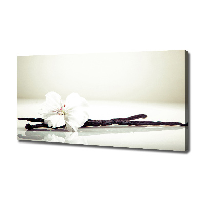 Cuadro canvas moderno de gran formato horizontal Vaina de vainilla