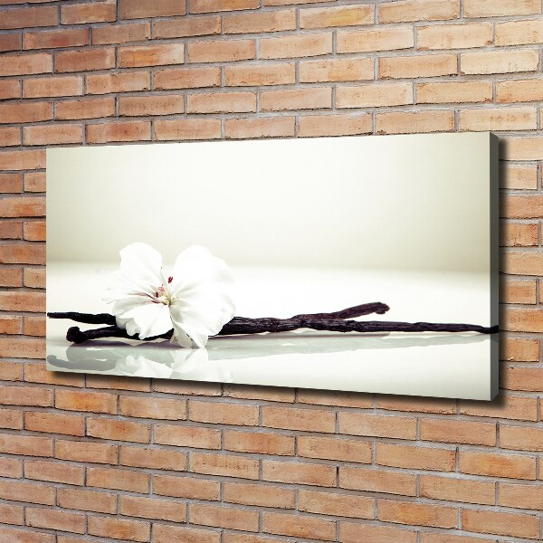 Cuadro canvas moderno de gran formato horizontal Vaina de vainilla