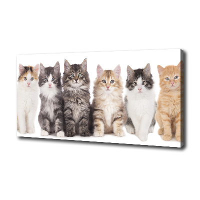 Cuadro canvas con impresión uv duradera horizontal Seis gatos