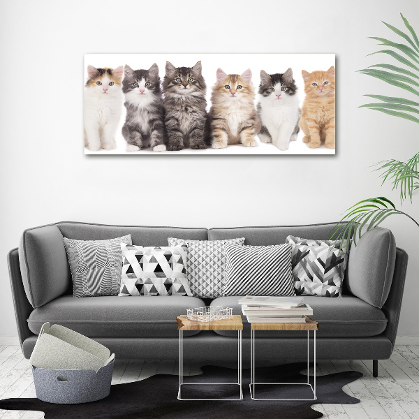 Cuadro canvas con impresión uv duradera horizontal Seis gatos
