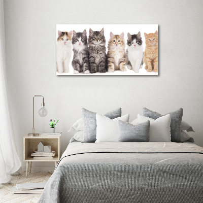 Cuadro canvas con impresión uv duradera horizontal Seis gatos
