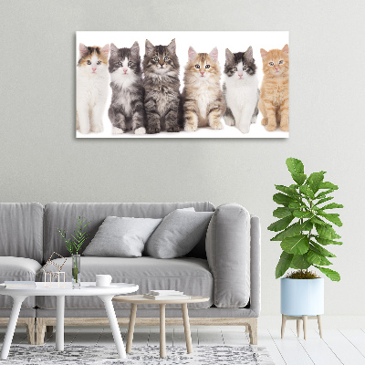 Cuadro canvas con impresión uv duradera horizontal Seis gatos