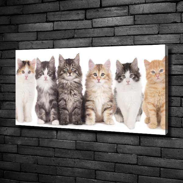 Cuadro canvas con impresión uv duradera horizontal Seis gatos
