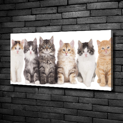 Cuadro canvas con impresión uv duradera horizontal Seis gatos