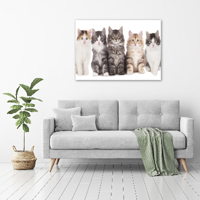 Cuadro canvas con impresión uv duradera horizontal Seis gatos