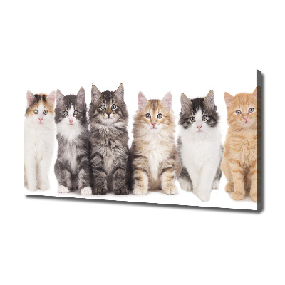 Cuadro canvas con impresión uv duradera horizontal Seis gatos