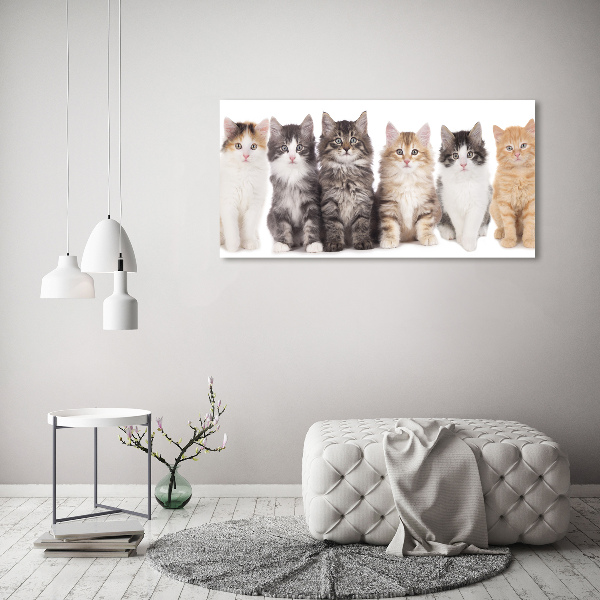 Cuadro canvas con impresión uv duradera horizontal Seis gatos