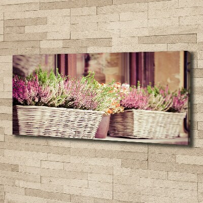 Foto obraz na płótnie Lawenda w doniczce