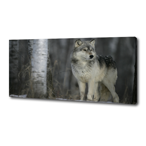 Cuadro canvas moderno de gran formato horizontal Lobo gris
